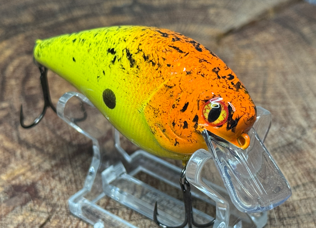 Sunset 2.5 Square-Bill