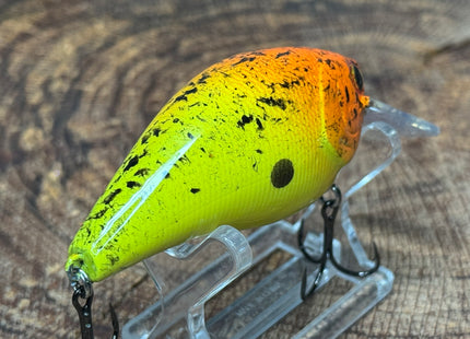 Sunset 2.5 Square-Bill