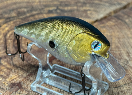 Golden Shad 2.5 Square-Bill