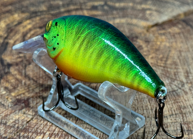 Bluegill 2.5 Square-Bill
