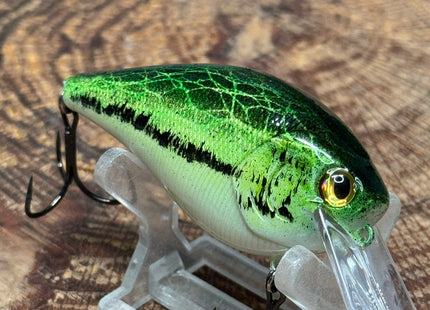 Bass 2.5 Square-Bill