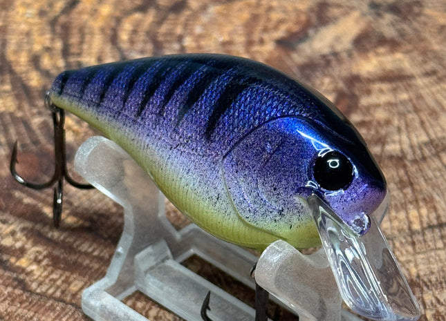 Purple Stripe 2.5 Square-Bill