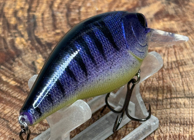 Purple Stripe 2.5 Square-Bill