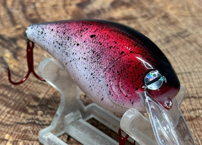 Red Shiner 2.5 Square-Bill