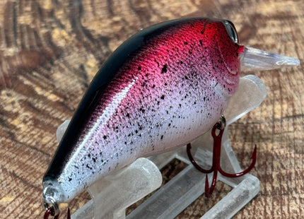 Red Shiner 2.5 Square-Bill