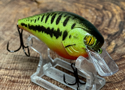 Red Belly 2.5 Square-Bill
