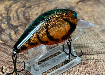 Mud Bug 2.5 Square-Bill